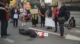 Anti-Trump rally: Trump effigy and chants of 'Free Palestine' at the 'Trump Not Welcome' rally in London