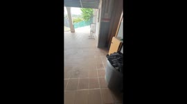 Pig Rests Peacefully Under Artificial Turf