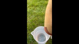 Garden Plant Waterer With Handle