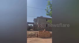Residents baffled by seven sheep perched on home roof