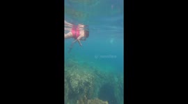 Free diver makes hasty retreat when she suffers cramps at 30ft deep