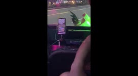 Easy-riding rooster cruises on the front of jeepney