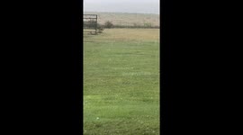 Hailstorm with hailstones covering the grass in Kansas, USA