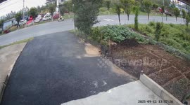 Red car crashes off road into garden caught on security video in Henan, China