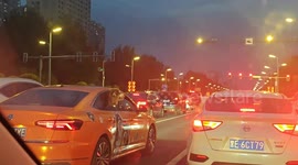 Dogs quarrel from car windows during traffic in Heilongjiang, China