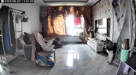 Dog howls with sirens caught on security video in Henan, China