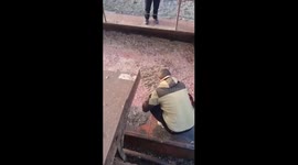 Workers rescue bear cub from fish waste tank in Kamchatka, Russia