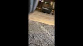 This is the wrong video but can’t delete it for some reason, uploaded the right one