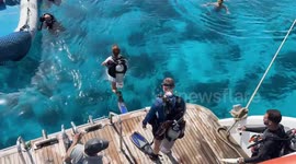 Egypt: Stunning footage shows the underwater beauty of Egypt’s Ras Mohammed National Park