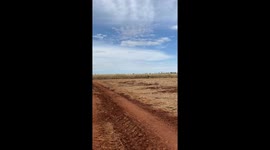 Reasonably Priced Tractor Is Comically Small