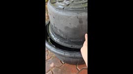 Doggy-Powered Spin Cycle