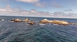 An aerial view of Pacific Grove reveals a charming coastal city on Monterey Bay