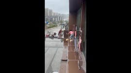 Kittens leap from awning in panic during rescue attempt