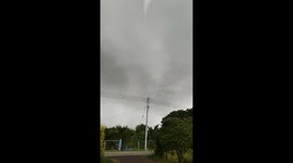 Mini tornado snaps branches from trees as it rips through field