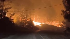Firefighters battle forest blaze in Türkiye’s Mugla province