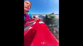 Boy falls off tube during family ride in USA