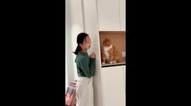 Cat playfully surprises little girl in Hebei, China