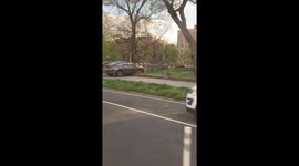 Car Driven Through Railing