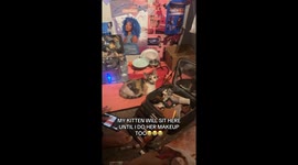 TikTok starlet and cat share adorable makeup moment in viral clip
