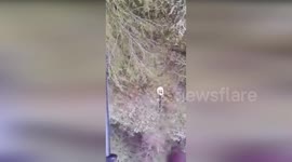 Italy: Man Rescued By Helicopter After Being Lost In Calasca Castiglione Woods