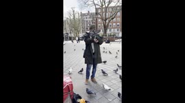 Pigeon Whisperer on London Streets