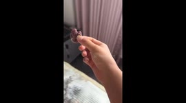 Bullseye Cast to Crying Cicada