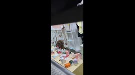 Special Thief in Dormitory