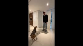 Owner and Pup Reunited After Two Years