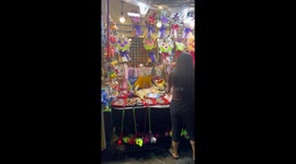 Pet cat naps on market vendor's jewellery stall