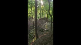 Rider crashes into tree during hill climb in Bydgoszcz, Poland