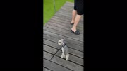 temp