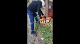Rescuers save plump puppy stuck in pipe in Ukhta, Russia