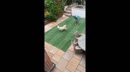 POV: Your Toddler Gets in the Middle of Zoomies