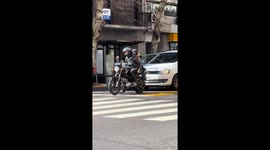 Dog Rides Backseat on Motorcycle