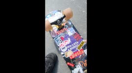 Radical Brazilian Skater Dog