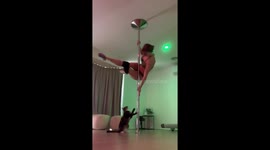 Cat Attacks Pole Dancers Bum