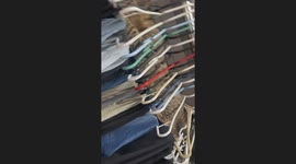 Silly Cat Climbs Through Closet Hangers
