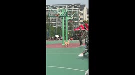 Adorable moment dog joins student’s basketball game