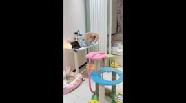 The First Day Kitten Live in Your House