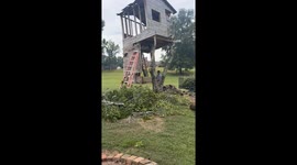 Slow Running From Falling Treehouse