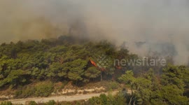 Forest fire in Syria’s Latakia injures firefighters