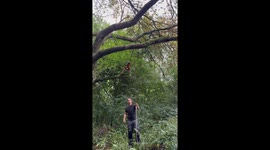Man Shows Off Impressive Knot Skills
