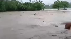 Neighbours rescue man swept away by raging river using a lasso