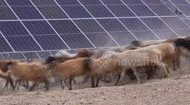 China: Xinjiang's Nileke County takes advantage of local solar energy resources to drive green development