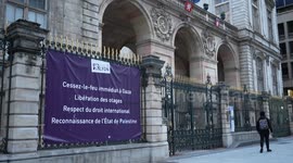 France: Palestinian flag raised over Lyon town hall despite French ban