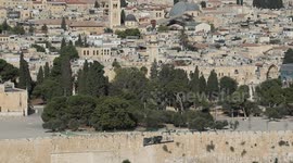 Illegal Israeli settlers storm Al-Aqsa Mosque to mark Jewish New Year