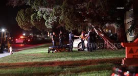 US, Bakersfield: Bakersfield 1 Dead Following Crash Into Tree Graphic Content