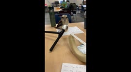 Wanna Know What Zookeepers Do on Their Lunch Break?