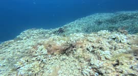 Reckless Jet Skis Ignore Freediver Buoy