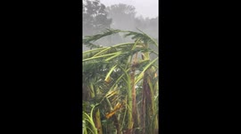 Philippines: Super Typhoon Ragasa Slams Northern Islands, Over 10,000 Evacuated 4